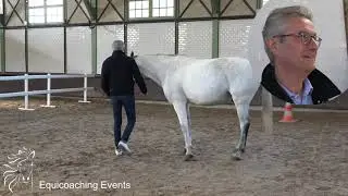 Equicoaching au Haras de Jardy pour le CODIR Comit&eacute; de Direction de Savencia Gourmet, vid&eacute;o souvenir