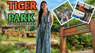 Tiger Park Pattaya Complete Guide | Tickets, Rules & Experience