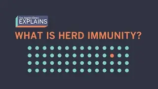How herd immunity will help us fight COVID-19