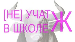 [Не] учат в школе - Ж | мифы и правда об устройстве женской репродуктивной системы на 3D атласе