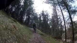Trail Guide - Brechfa Wales