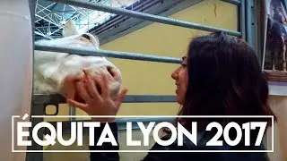 VLOG : ÉQUITA LYON 2017 !