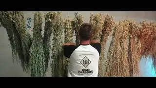 Backstage at the Distillery
