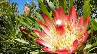 Baviaans-Kouga 4x4 (Part 2) 2014 edition - Mountain Passes of South Africa