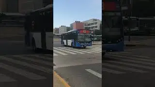 Linea 8 int. 1141 (Versi&oacute;n 2025)
