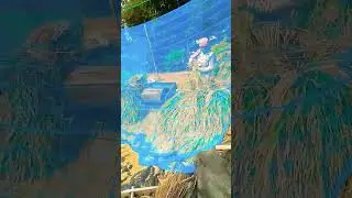 Sone Samay bolchi song show my location history short video with Babai Dance official trending short