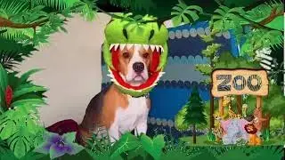 Beagle Dog Obstacle Course Challenge and More...🐕