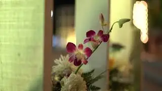 Wedding HD Stock Video | Free stock footage | Free HD Videos - No Copyright | Channel Video Editor