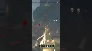 Shipment clips