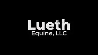 Polo, Performance, & Care - Lueth Equine LLC - Certified Journeyman Farrier