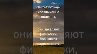 Зачем ходить в походы ? Ответил специалист! #forestfire #fire #camping #fireforest #dog #survival
