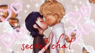 Клип леди баг и супер кот элджей secret chat