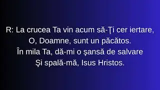 La crucea Ta -  negativ Puiu Chibici