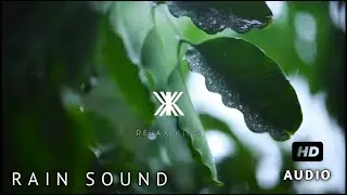 Rain sound for sleep , relax , meditation , insomnia | 30 mins high quality audio | by relax king .