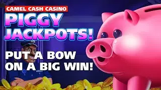 Trigger Bonus on Piggy Banking Slot! Camel Cash Casino