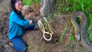 I Caught 100 Snakes in a Single Day in exchange for $10,000