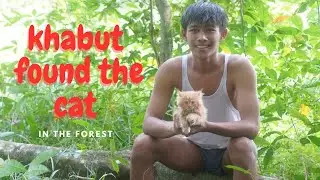 khabut found the cat -help named that cat
