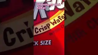Unboxing KitKat!!!