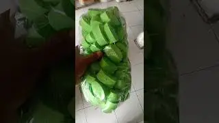 pelampung tebal jaring ikan