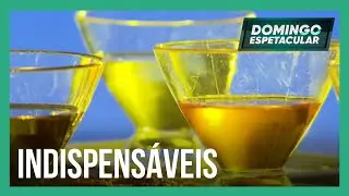 MITOS E VERDADES | Saiba tudo sobre os óleos e azeites