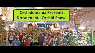 Orchidomania Presents: Dresden International Orchid Show