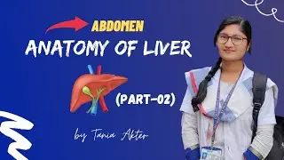 Anatomy of Liver Part -2 | Bangla Demonstration of Liver | Viscera of Liver | Liver Demonstration