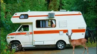 WE MOVED TO CANADA! 🇨🇦 Australia to Japan to Vancouver Island 🍁