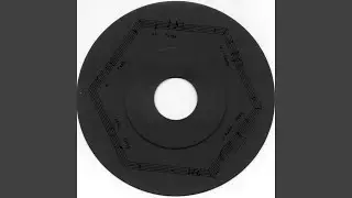 THE LAST HUNGARIAN VINYL