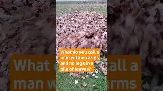 fall leaf joke #dadjokes