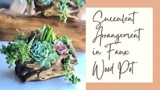 HOW TO Create SUCCULENT ARRANGEMENT in Faux Wood Pot