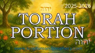 В начале &ndash; Глава Торы &ndash; Брейшит: (Бытие 1&ndash;6:8) &ndash; 2025&ndash;2026