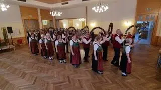 Seniorenball 2025 Steinakirchen/Forst, Bogentanz