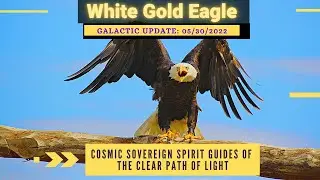 White Gold Eagle Galactic Update 05302022  Cosmic Sovereign Spirit Guides of the Clear Path of Light