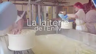 Visite de la laiterie de l'Enilv