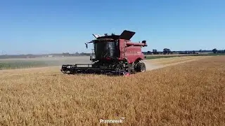 ☆Żniwa z nowymi nabytkami☆Case AF 5150 & Fendt 724☆GOSPODARSTWO ROLNE ZDUŃCZYK☆