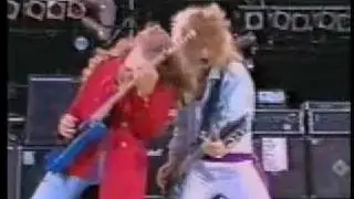 DEF LEPPARD - Animal