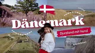 Dänemark Urlaub mit Hund an der Ostsee | Djursland, Mols Bjerge, Burg Kalø & Ebeltoft Reisevlog