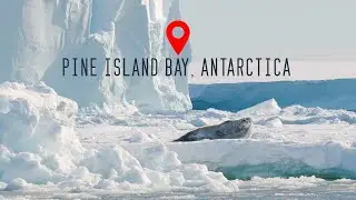 Pine Island Bay, Antarctica 4K