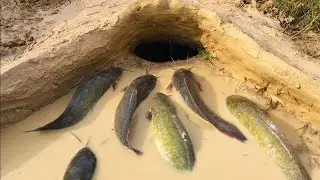 Amazing Muddy soil Hole Trap - Smart Man Build Fish Trap By Muddy soil- Get Alot of Fish 100%