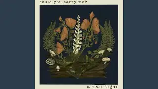 Could You Carry Me?