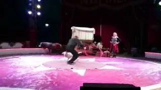 Bellywien Circus Eindhoven