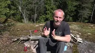 Tallahasseessahallat - Vehn&auml;