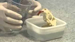 Setting Objects in Resin
