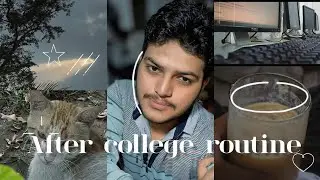 After College Routine | Productive & Realistic Day In My Life | College Vlog Urdu/Hindi