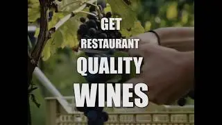 Paramount Wines   Wine delivery Ad