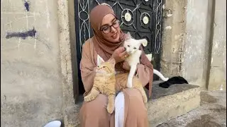 Two very friendly cats. Every time I visit them, I feel happier and more excited.