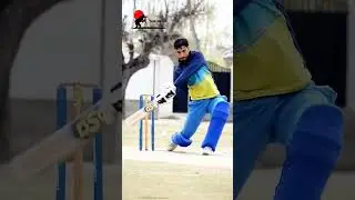 Attitude king#powerful #Awesome #batting.#cricket #trending #viralreels #trendingreels #Outstanding