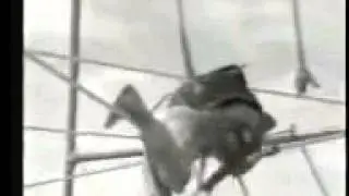 مشاركة الحرس الوطني في تحرير الخفجي (حرب الخليج ١٩٩٠)