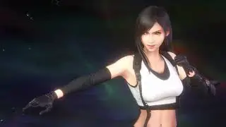 FF VII: Ever Crisis - Tifa, Yuffie, and Babyroth LB 2nd anniversary banner pulls