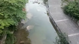 Rennes Les Bains (11 Aude) visite guidée. 12 mai 2024